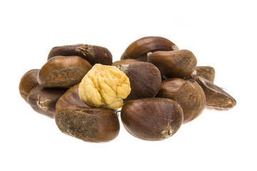 Obraz premium Chestnut