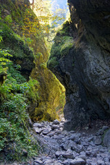 Obraz premium Cracow gorge in Tatras Mountains, Poland