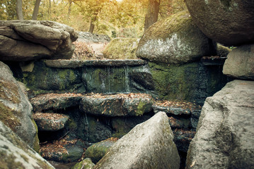 Autumn. Composition of nature.