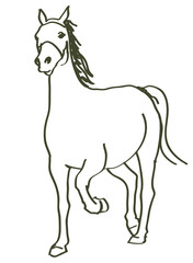 Fototapeta premium hand drawn horse