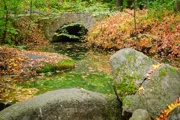 Autumn. Composition of nature.