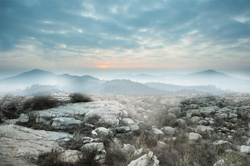 Serene landscape