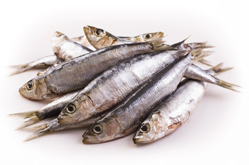 Sardines