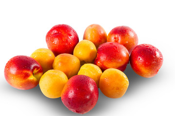 Fresh ripe Nectarines and appricottes