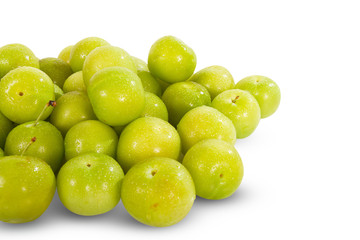 GREEN PLUM FRUIT
