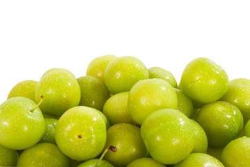GREEN PLUM FRUIT
