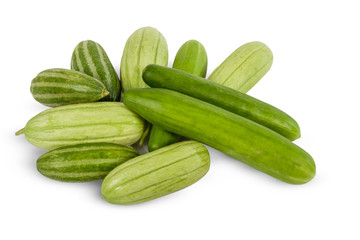 Fresh cucumber variety