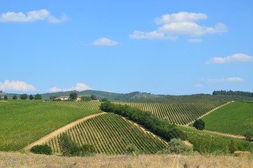 Tuscan hills
