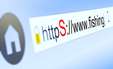 browser bar with https typed in, padlock and fishing domain name