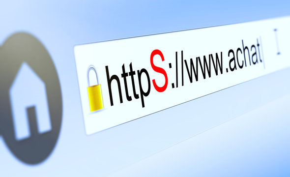 browser bar with https typed in, padlock and shop domain name