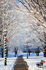 Winter Alley with Snow Covered Trees and Santa Hat on the Bench.