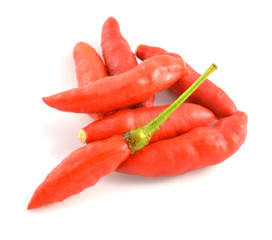 Red chili pepper on white background