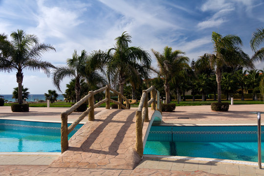 Palmengarten am Strand, mit der Brücke