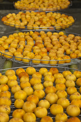 persimmons under sunlight