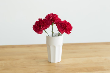 カーネーション