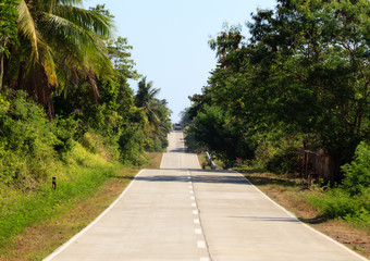 Obraz premium Tropical Highway