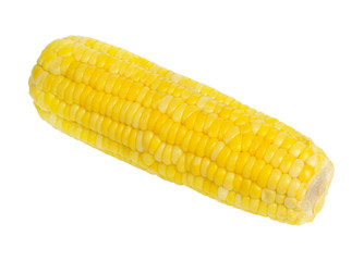 Ear of corn