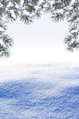 Fototapeta premium Winter forest.