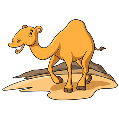 Camel Cartoon