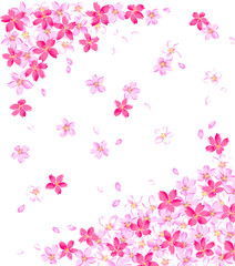 Obraz na płótnie Canvas 桜の装飾