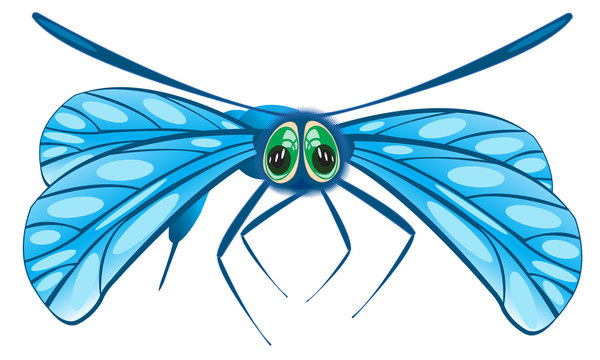 Vector illustration of the dragonfly