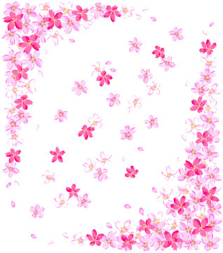 祝い, 桜の装飾 © daicokuebisu