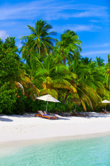 Holiday Paradise
