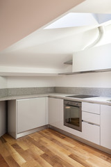 Interior nice loft, domestic kitchen
