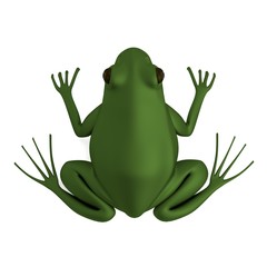 realistic 3d render of rana esculenta