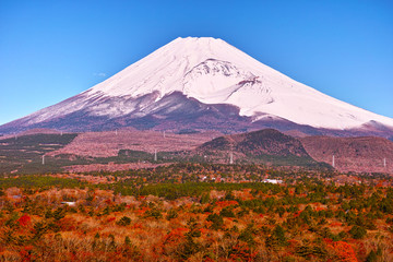 十里木別荘地の紅葉と富士山
