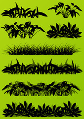 Fototapeta premium Tropical exotic jungle grass and plants detailed silhouettes lan