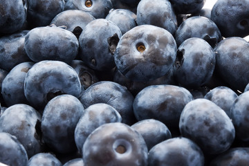 Blueberries
