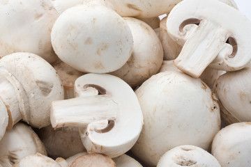 Champignon mushrooms
