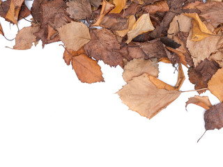 Herbstbläter