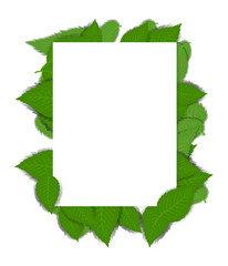 Background with green leaves and a paper page