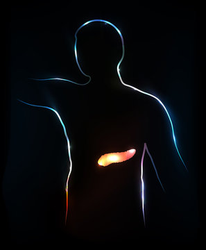 Pancreas. Abstract medical illustration, background.