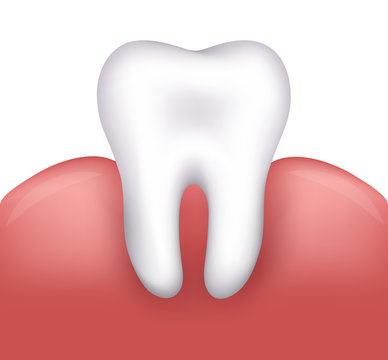 Beautiful healthy tooth and gums. Dental illustration.