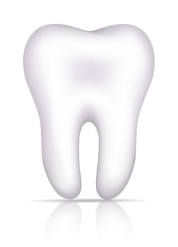 Healthy white tooth illustration, isolated on white.