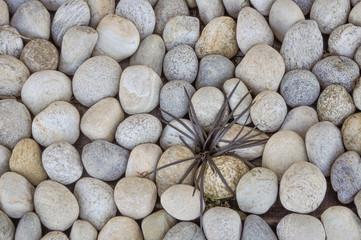 Stone background