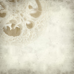 textured old paper background