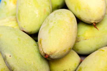 Green Mangoes