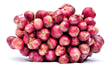 shallot