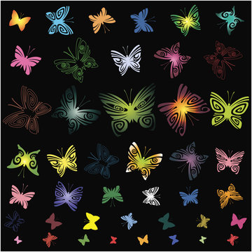 Set of elements of design (butterflies)