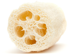 loofah