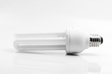 White Bulb on white background