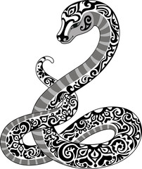 Black and white snake