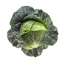 Wirsingkohl, freigestellt
