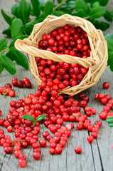 Cowberries in the basket