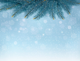 Fototapeta na wymiar Christmas background with fir branches. Vector illustration