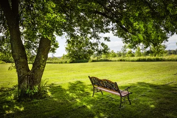 Gordijnen Park bench under tree © Elenathewise